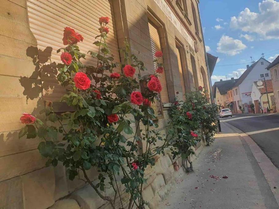 Duchroth Wohlfuehloase Auf 133-160Qm In Der Idylle An Der Nahe 아파트 외부 사진