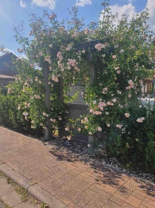 Duchroth Wohlfuehloase Auf 133-160Qm In Der Idylle An Der Nahe 아파트 외부 사진
